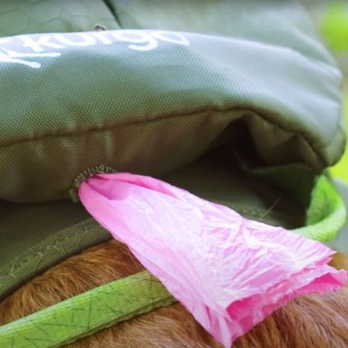 Kurgo Cascade Dog Harness Green X-Large - Poudre Pet & Feed Supply 4